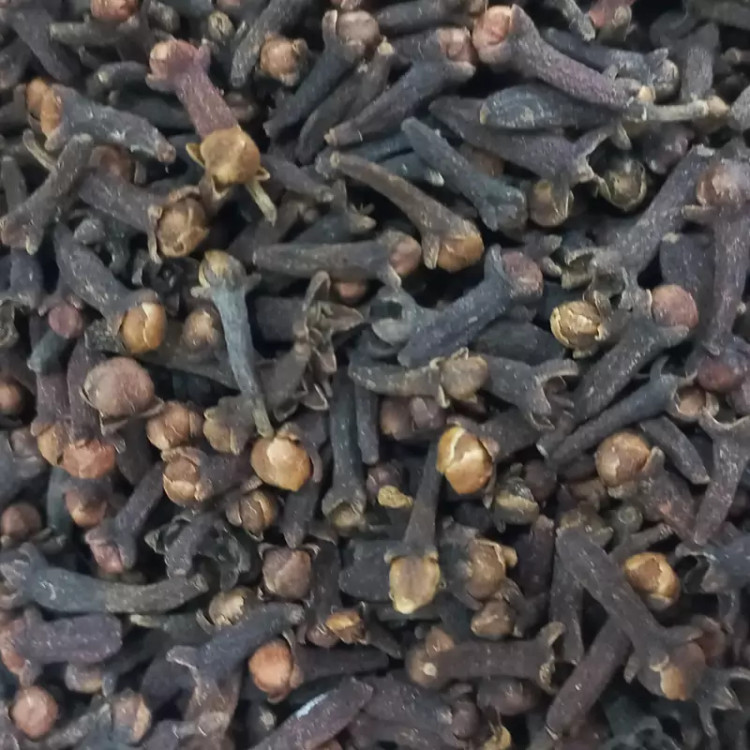 میخک قلم(100 گرمی)