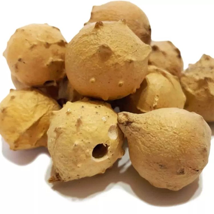 مازو (150 گرمی)